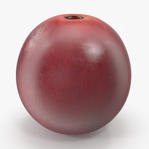 3d model red grape