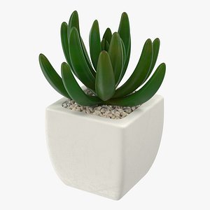 3d succulent 01 model