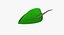 Robin Hood Hat