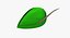 Robin Hood Hat