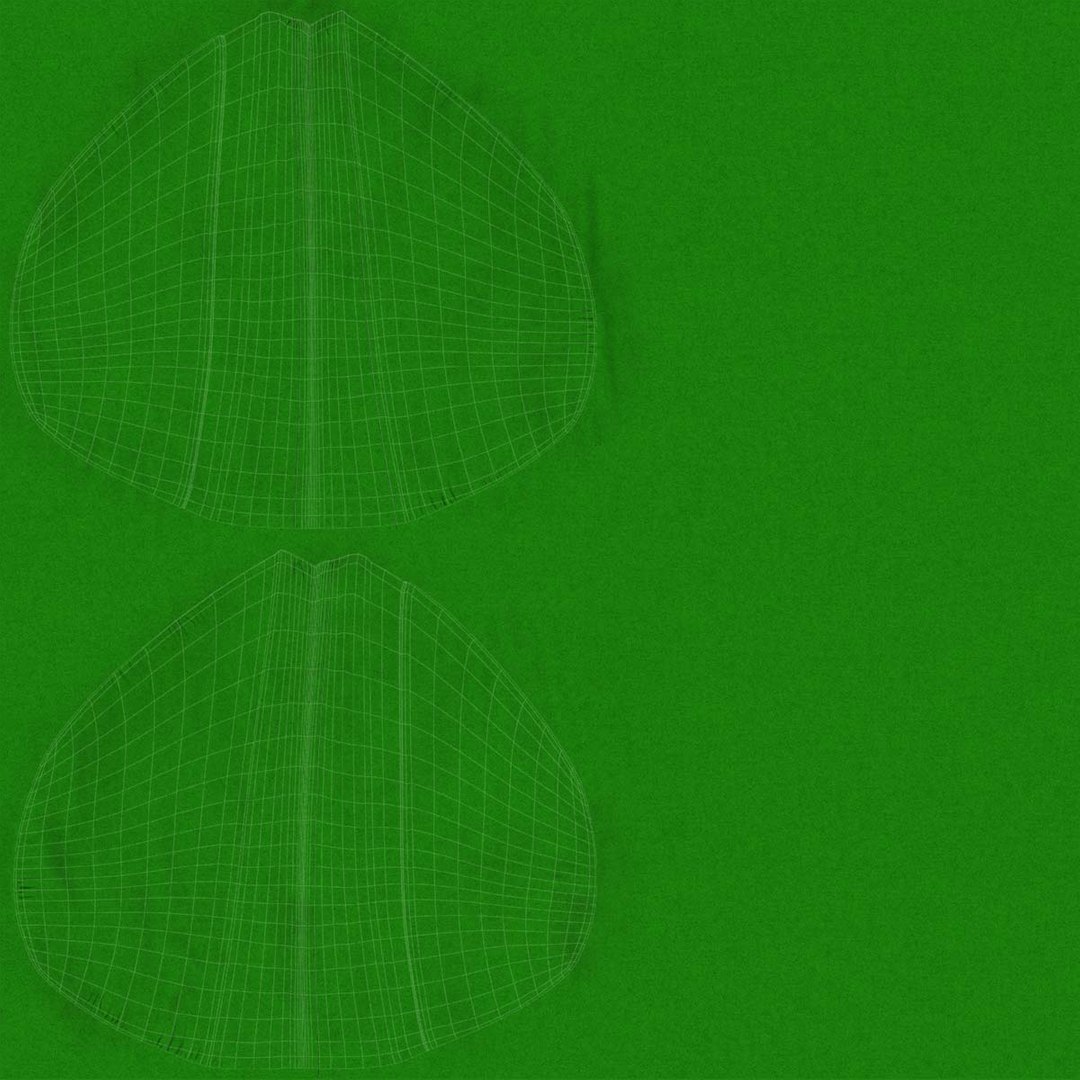 3D robin hood hat model https://p.turbosquid.com/ts-thumb/Ag/4cc8DI/vk2kThZ8/hatxtt/jpg/1562801721/1920x1080/fit_q87/a32b6d956ba08724aff69a9e17346f355f506890/hatxtt.jpg