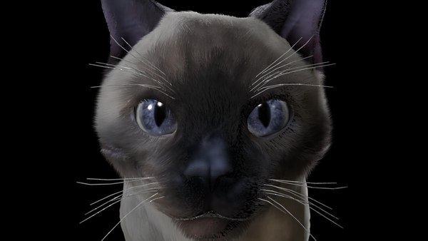 3d cat fur model