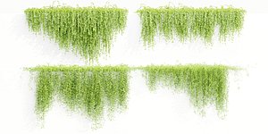 Creeper plants collection vol 144-Blender 3D