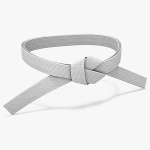 Martial Arts Waist Belt White