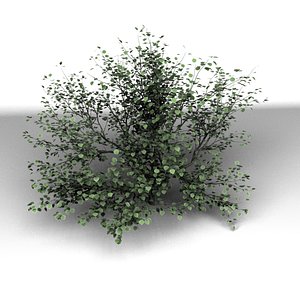 3ds max tree