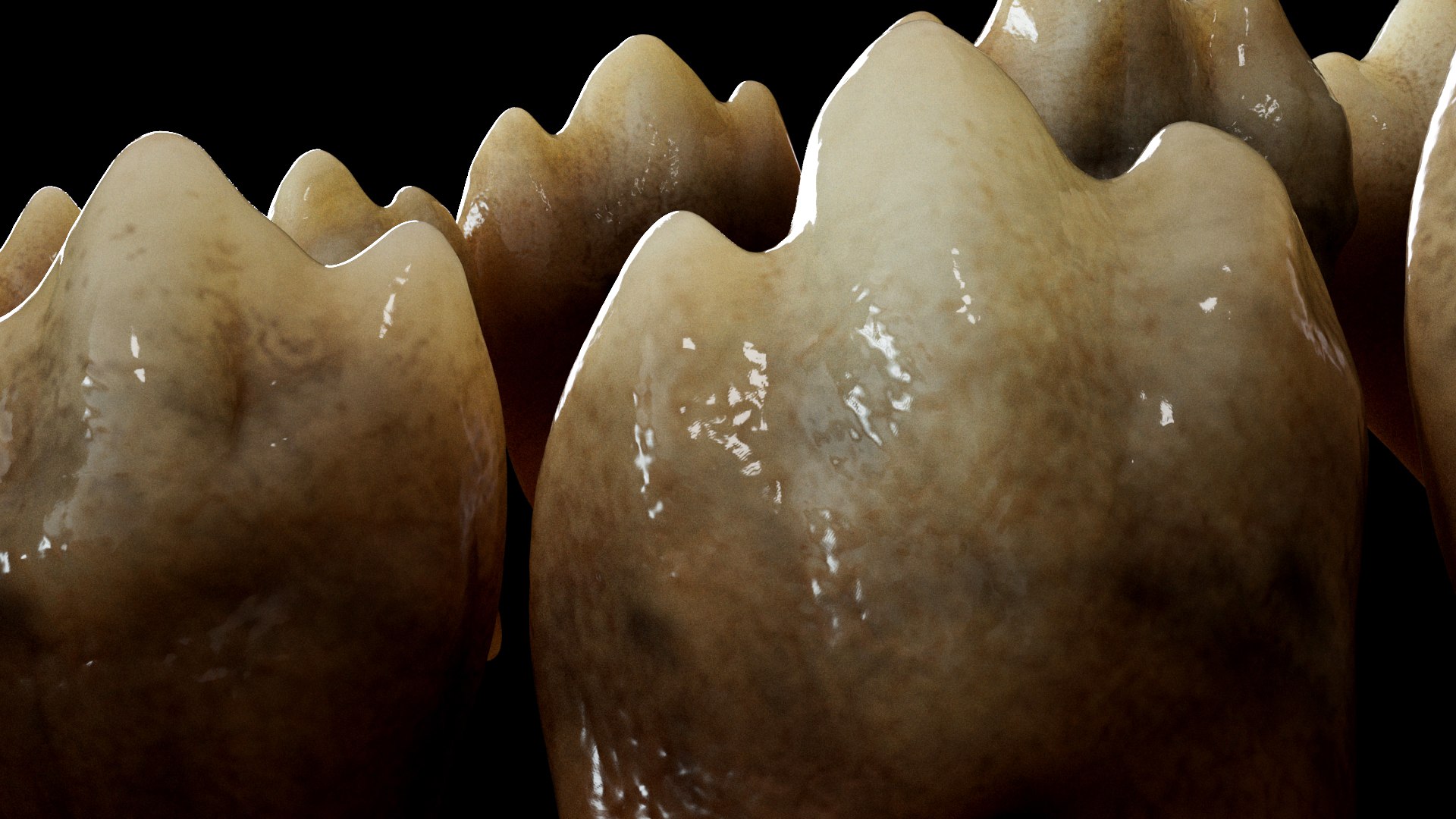 Realistic Wolf Teeth 3D Model - TurboSquid 2401525