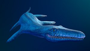 3D liopleurodon ar vr mobile model