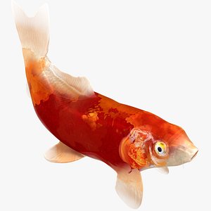 Japanese Carp Fish Rigged L1749 3D model