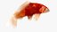 Japanischer Karpfenfisch, manipuliert L1749