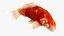 Japanischer Karpfenfisch, manipuliert L1749