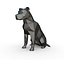 Staffordshire Bull Terrier