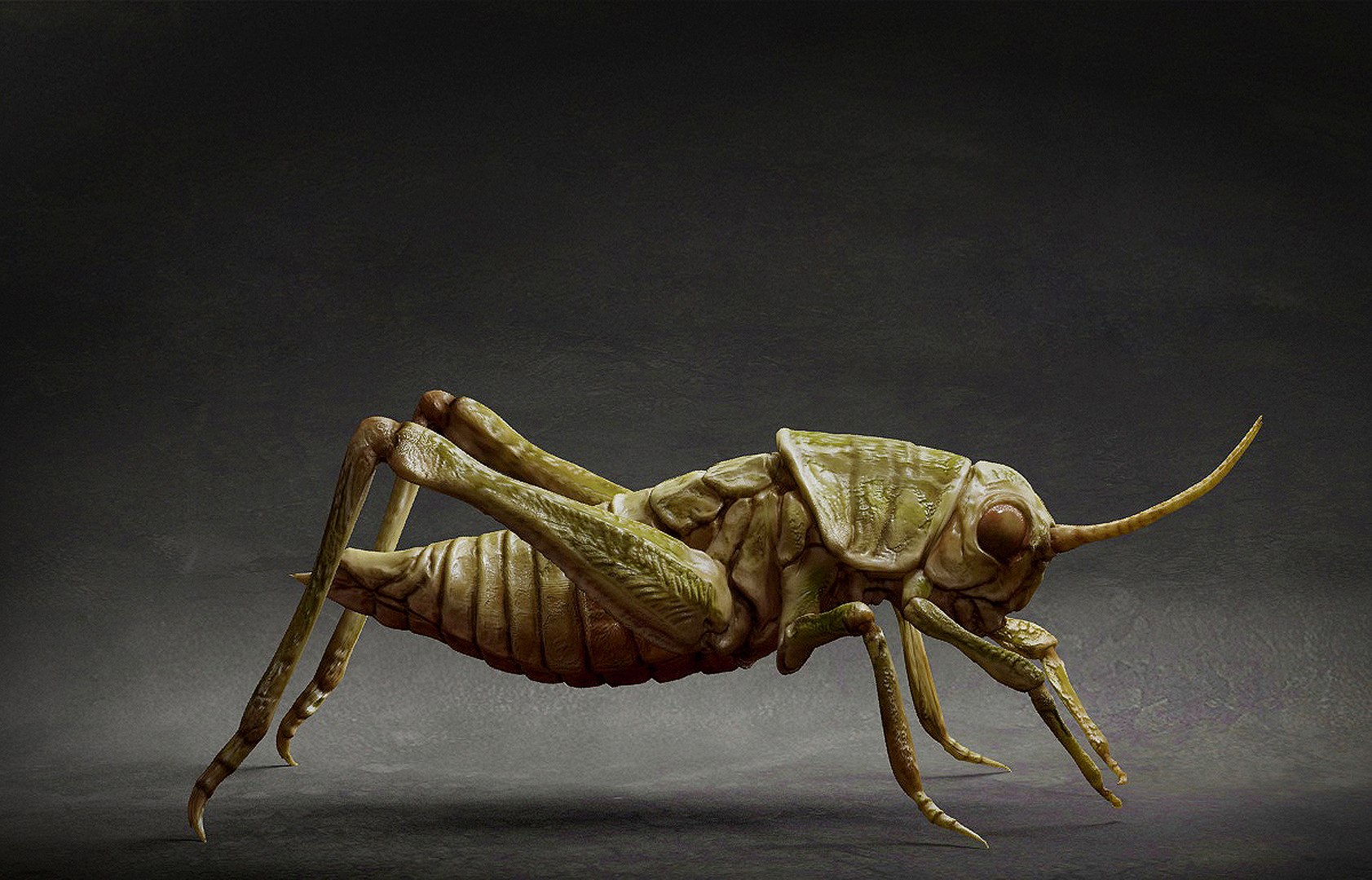 3D Grasshopper Model - TurboSquid 2186661