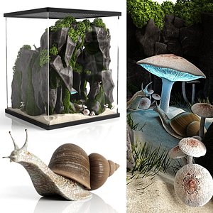 3D terrarium snails model