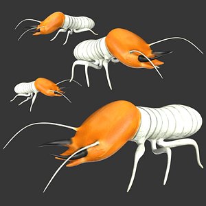 3D Rigged Termite