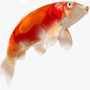Japanese Carp Fish Rigged L1734 3D model