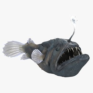 Anglerfish Rigged for Cinema 4D 3D model