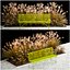 Flowerbed Bench With Bushes Feather Grass 1135