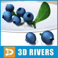 Blueberry by 3DRivers