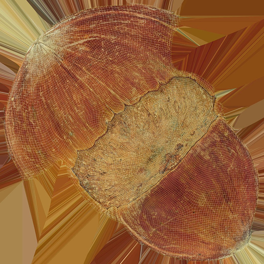 3D Chestnut Collection Model - TurboSquid 2349507