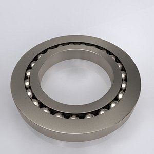 ring bearing 3d 3ds