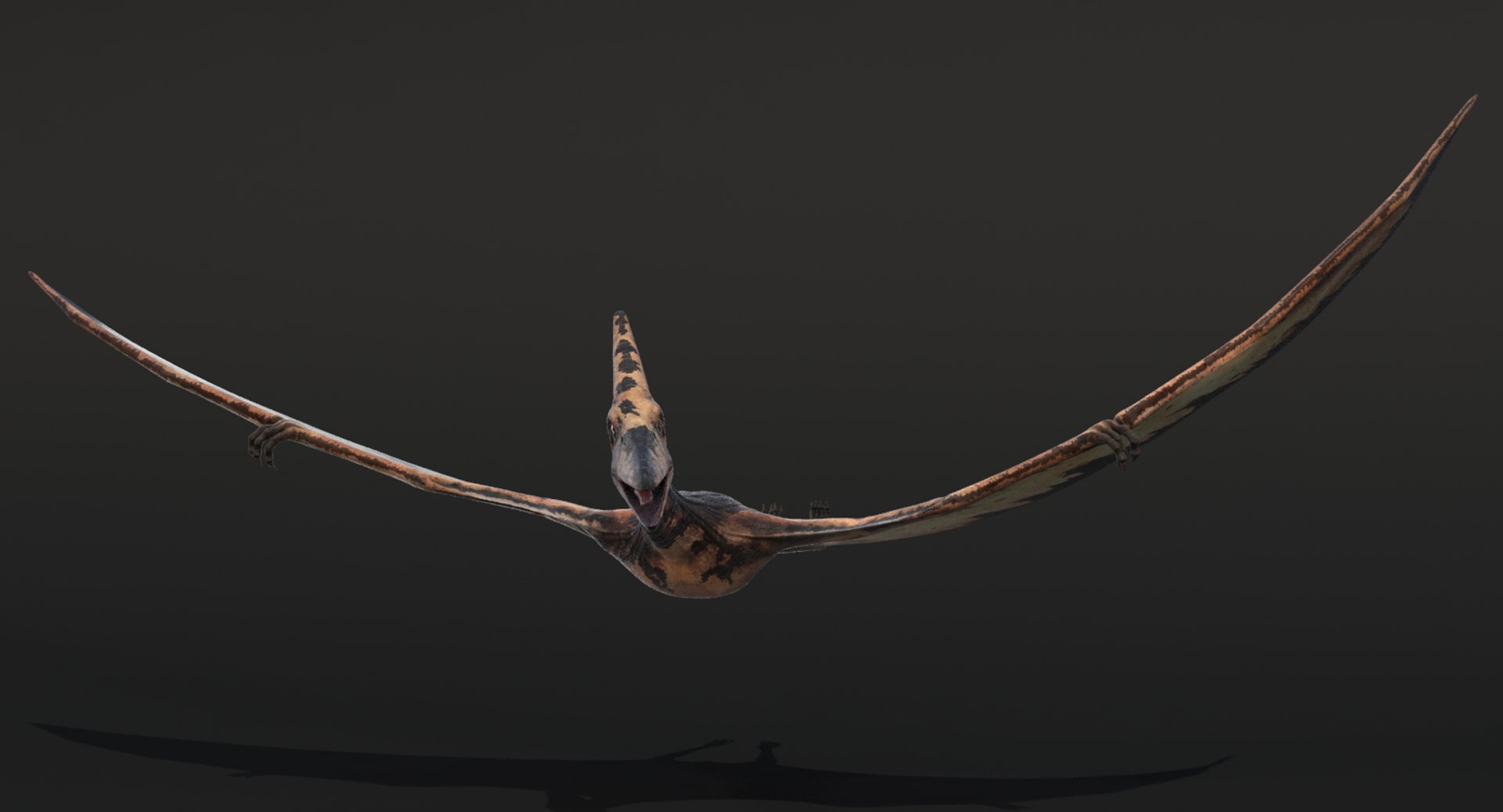 realistic pteranodon rigged 3d model