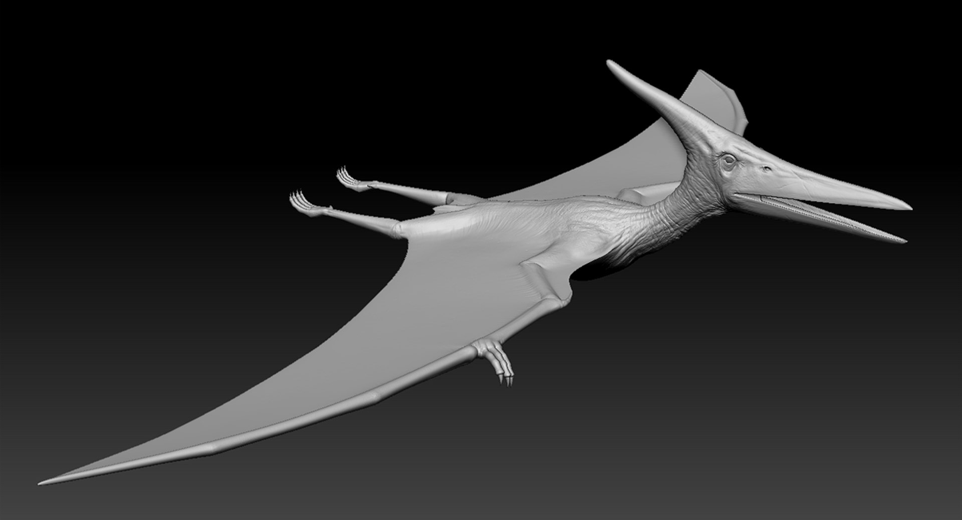 realistic pteranodon rigged 3d model