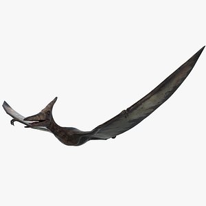Pteranodon Rigged