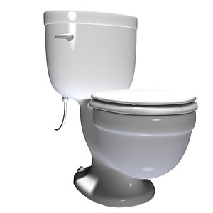Flush Toilet 3D