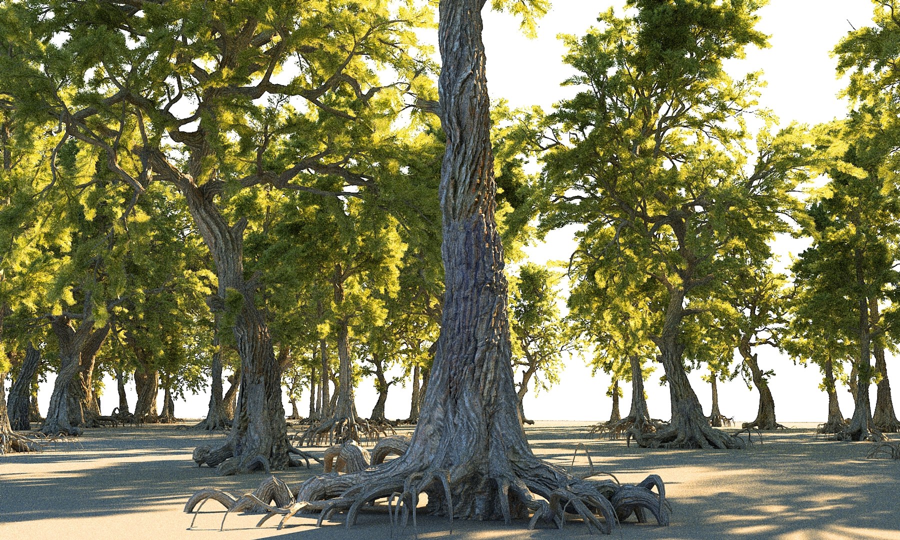 pine tree pack 3D model https://p.turbosquid.com/ts-thumb/Ai/6SUC7O/iIL5FYB8/6678/jpg/1546907683/1920x1080/fit_q87/0ed471fd3524e1cfec832cee153758b7d36181ae/6678.jpg