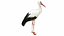 3D Waterfowl Collection 9 in 1 model