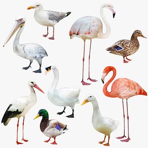 Waterfowl Collection 9 in 1