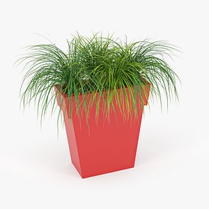 3D model plant