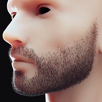 Stubble Low Poly 3