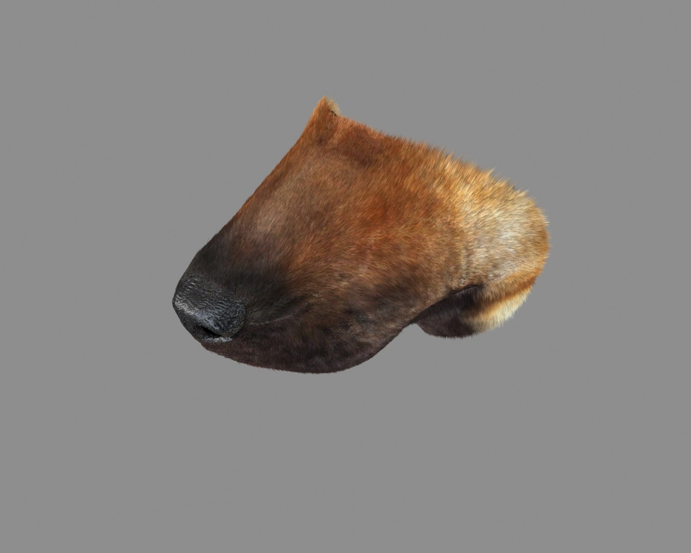 german shepherd mouth animation 3d max https://p.turbosquid.com/ts-thumb/Ai/p0t8xf/2yI9Rogb/3/jpg/1411341778/1920x1080/fit_q87/1954400128811f0ab2b1d05cdd2ae3b55dad409e/3.jpg