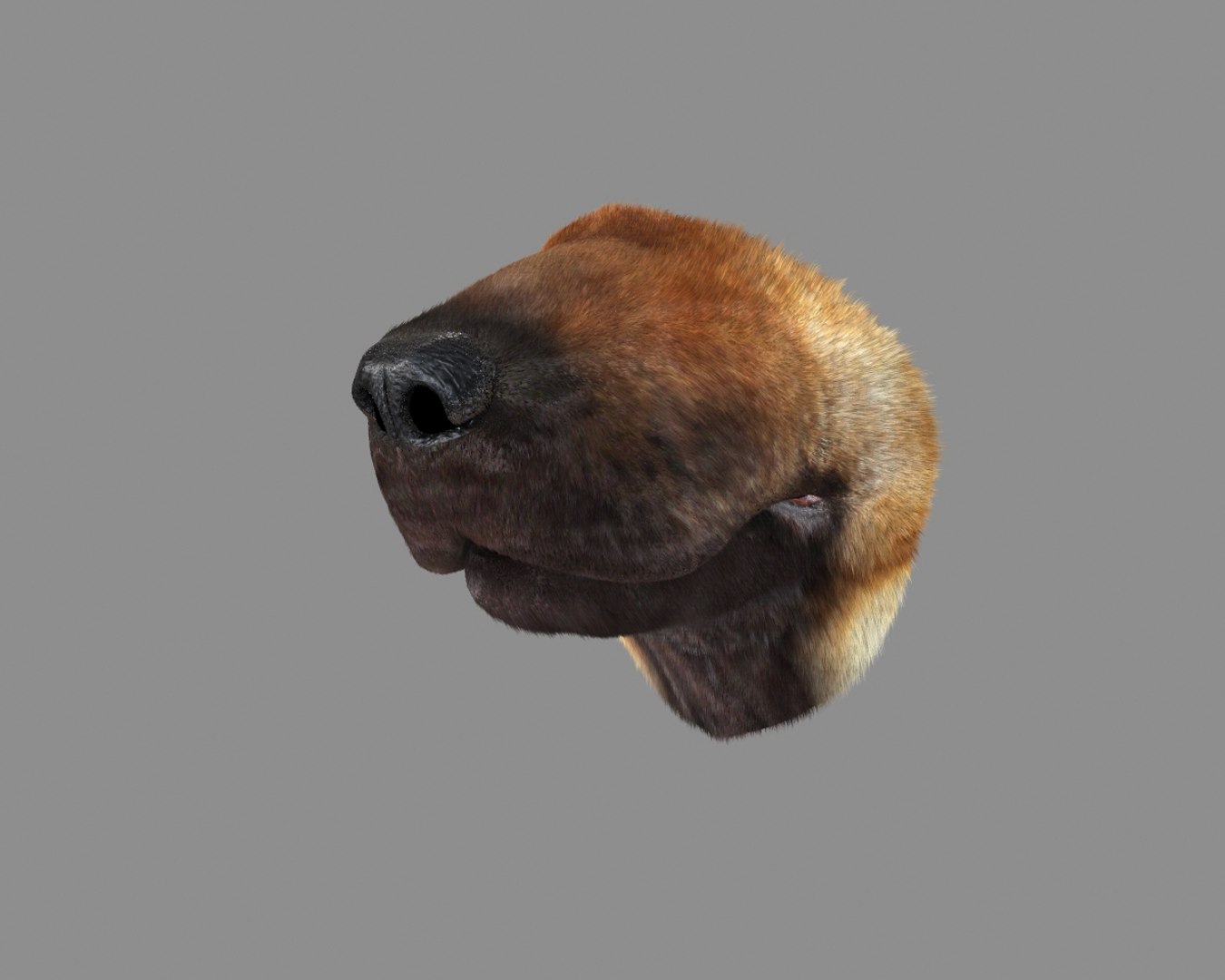 german shepherd mouth animation 3d max https://p.turbosquid.com/ts-thumb/Ai/p0t8xf/G91UriLG/2/jpg/1411341778/1920x1080/fit_q87/4c2d74a2ec24481c28054ce2b0b0eb0c81113c7a/2.jpg