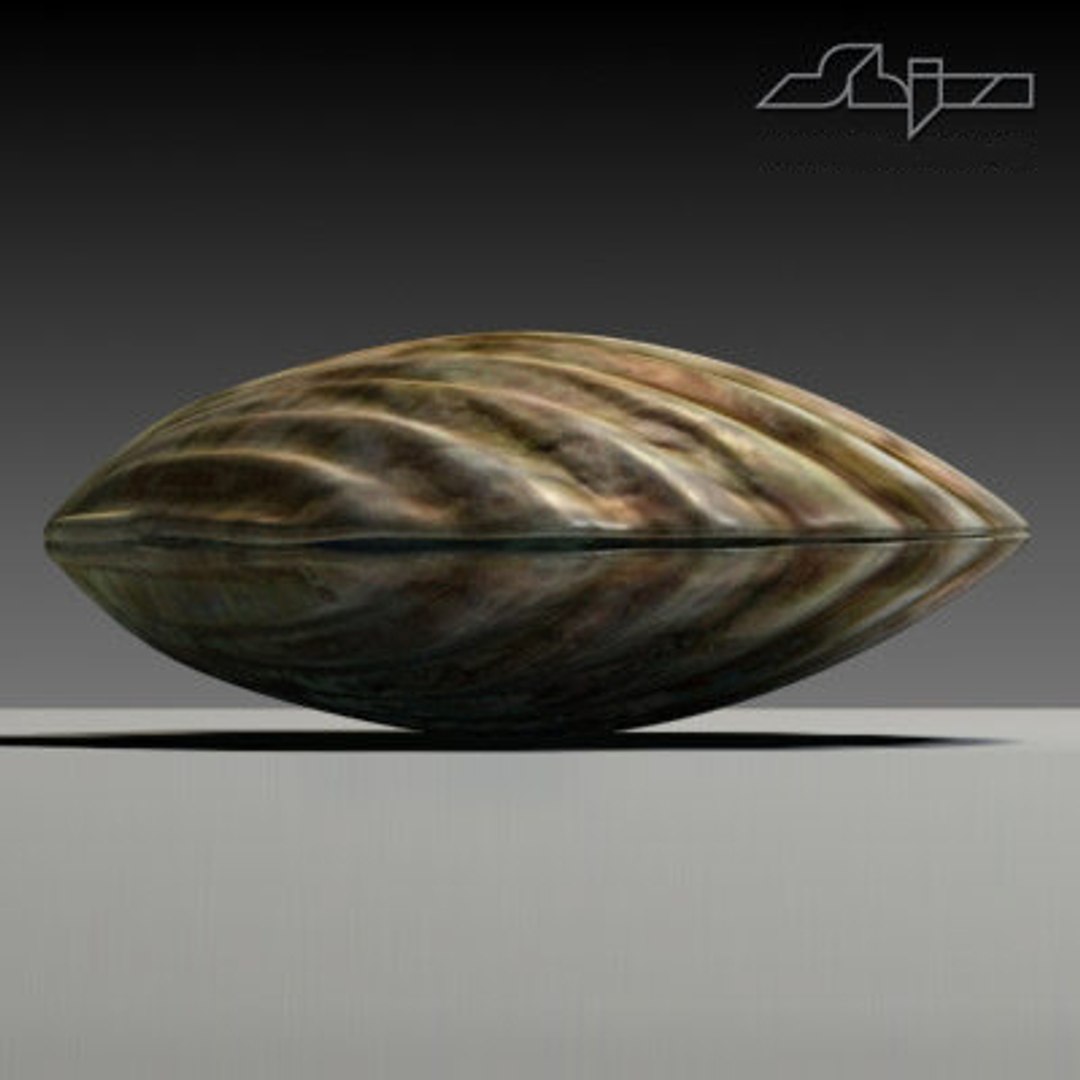 Sea Shell 3d Model
