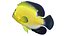 50 Fish Sea Creature Collection v3