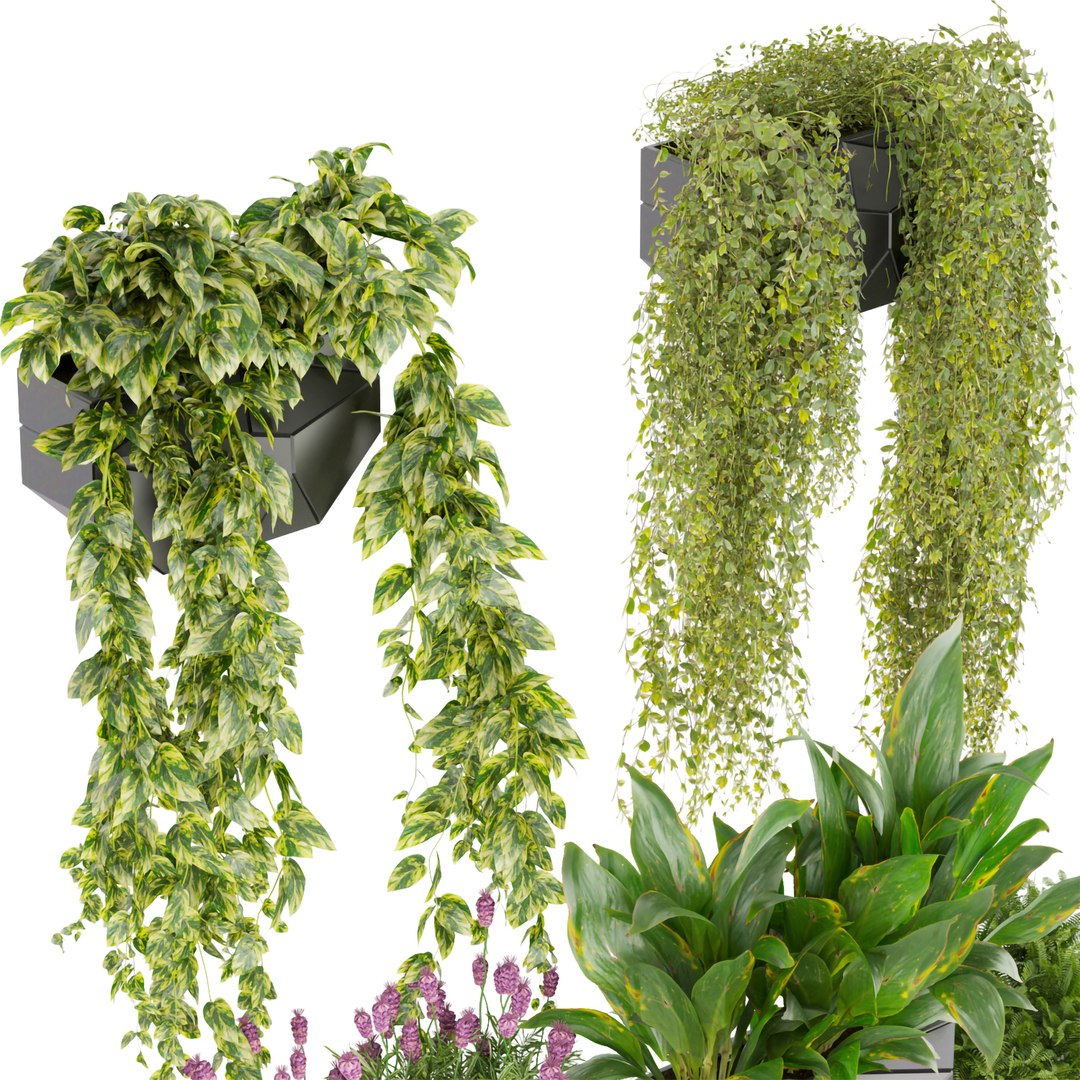 Collection plant vol 501 - blender 3D model https://p.turbosquid.com/ts-thumb/Ai/vRL2Vy/2O/2/jpg/1690454353/1920x1080/fit_q87/1642908b2554d25161db7eeea36123de50339a36/2.jpg