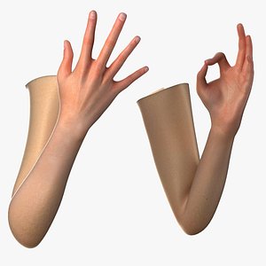 3D female arms model