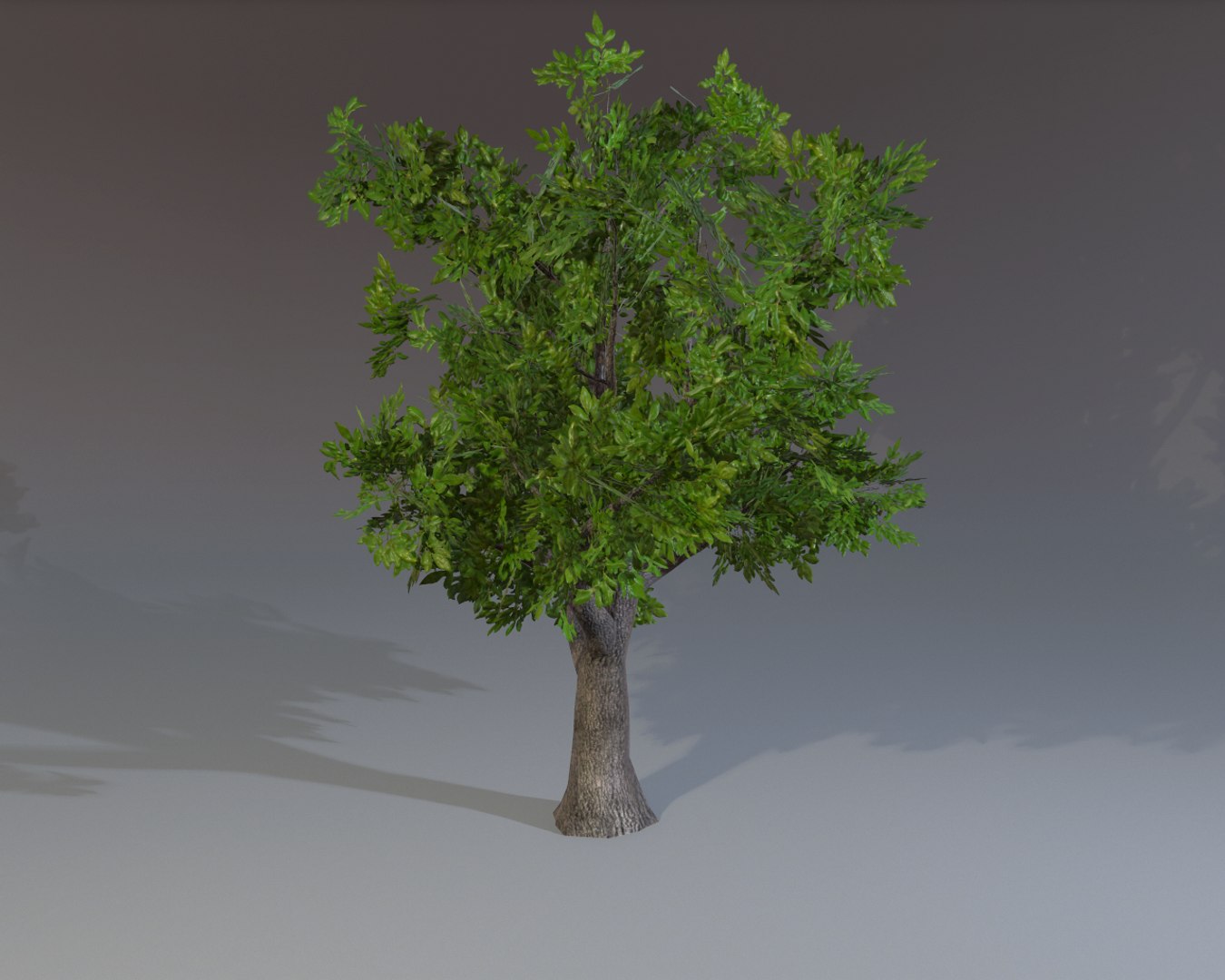 Ready Tree Maps 3d Max