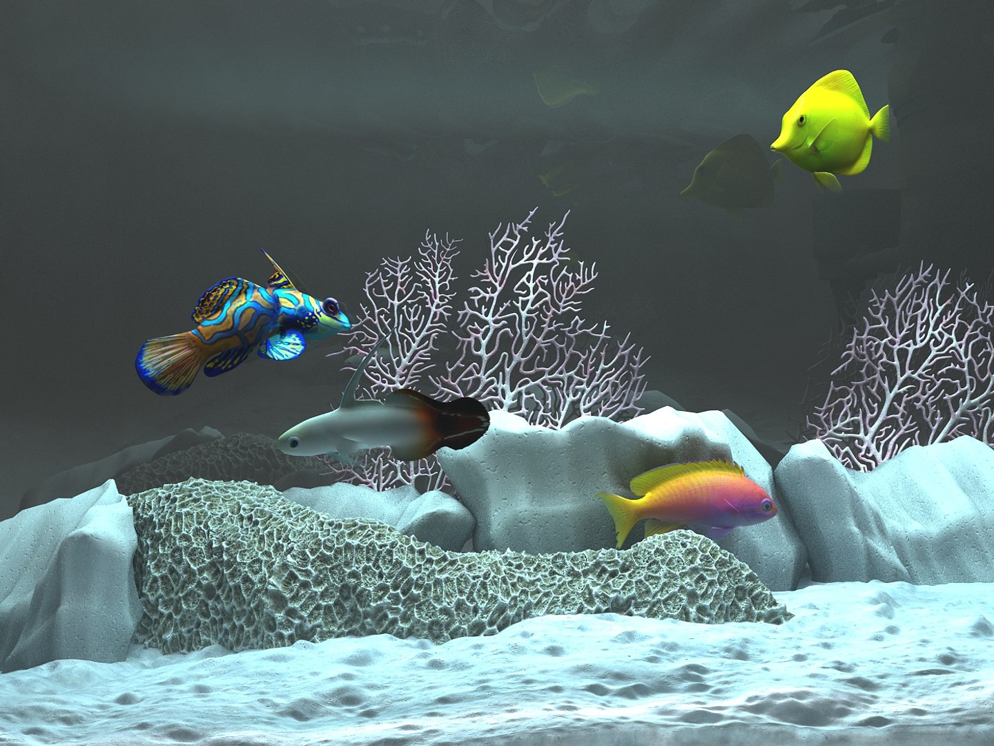 marine aquarium 3d max https://p.turbosquid.com/ts-thumb/Aj/78DHY6/5pVA6F5o/aquarium_r2a/jpg/1337909193/1920x1080/fit_q87/f94aea83cec45a1a1ca578b1766bd5bb64d90c73/aquarium_r2a.jpg