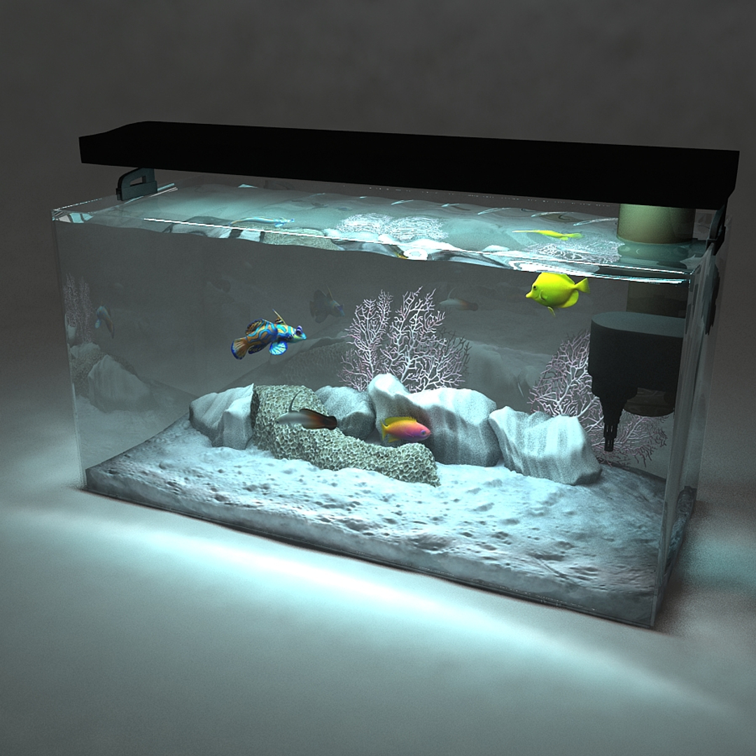 Marine Aquarium 3d Max