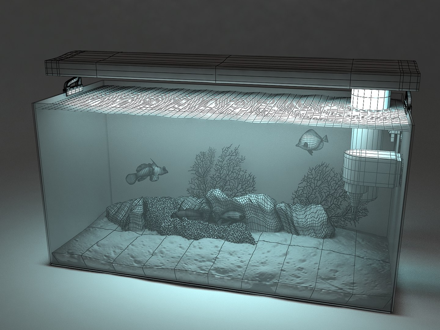 marine aquarium 3d max https://p.turbosquid.com/ts-thumb/Aj/78DHY6/HAZCv5zH/aquarium_cam4cw/jpg/1337909193/1920x1080/fit_q87/aa7b4dfba344722974ba41cec1ffde9b55d9d76b/aquarium_cam4cw.jpg