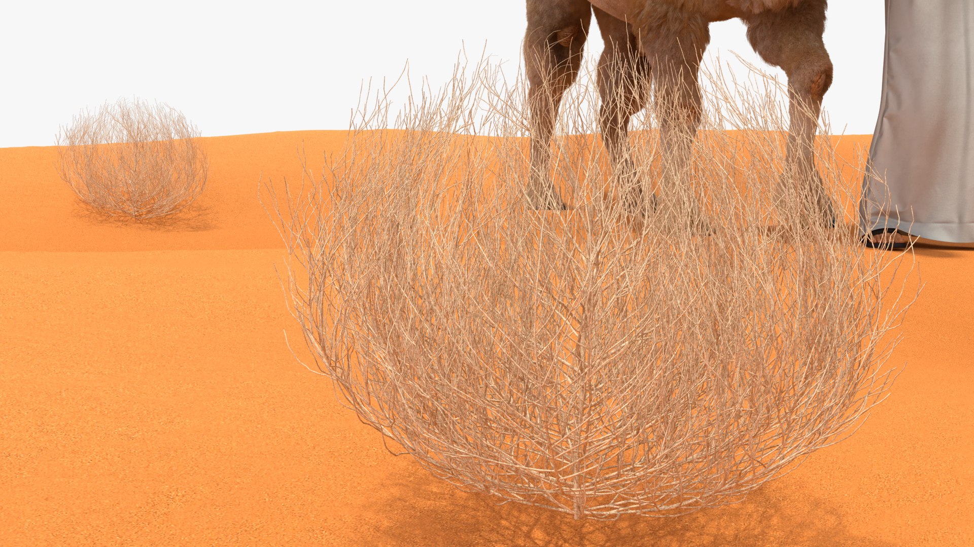 3D Arab Man with Camel on Desert Fur https://p.turbosquid.com/ts-thumb/Aj/DCphGF/2D/arabmanwithcamelondesertfur3dmodel023/jpg/1724756641/1920x1080/fit_q87/f778bd3b7de740f3ac30995d21d60e63a4591f1f/arabmanwithcamelondesertfur3dmodel023.jpg