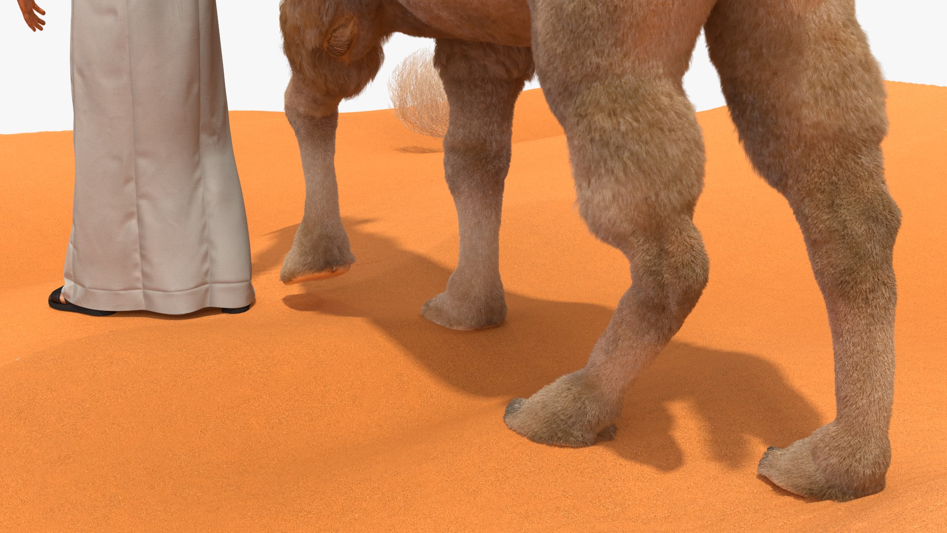 3D Arab Man with Camel on Desert Fur https://p.turbosquid.com/ts-thumb/Aj/DCphGF/TK/arabmanwithcamelondesertfur3dmodel021/jpg/1724756633/1920x1080/fit_q87/29370a1dac0bef21a2f6513f0699ccbed091ae6a/arabmanwithcamelondesertfur3dmodel021.jpg
