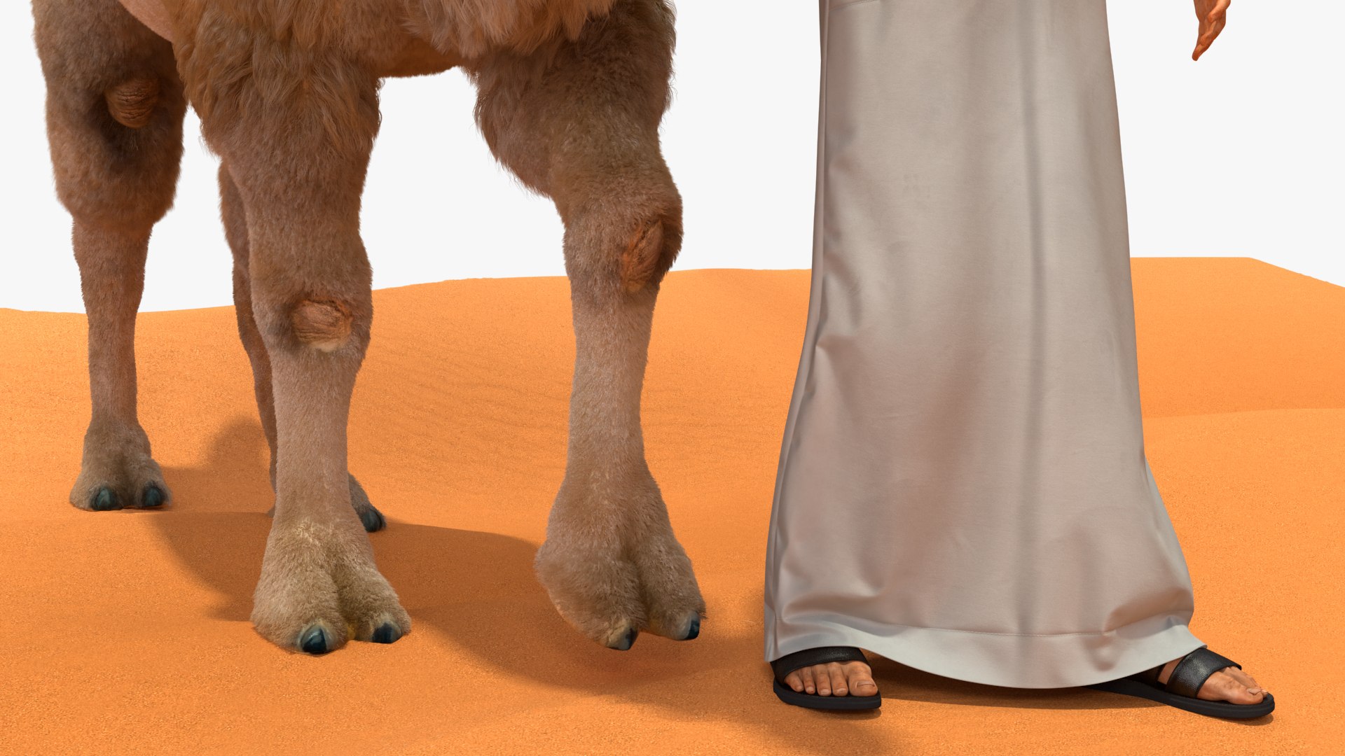 3D Arab Man with Camel on Desert Fur https://p.turbosquid.com/ts-thumb/Aj/DCphGF/UR/arabmanwithcamelondesertfur3dmodel020/jpg/1724756629/1920x1080/fit_q87/a61dad13f416415bc9b59a349eb3e6469fcbe14e/arabmanwithcamelondesertfur3dmodel020.jpg