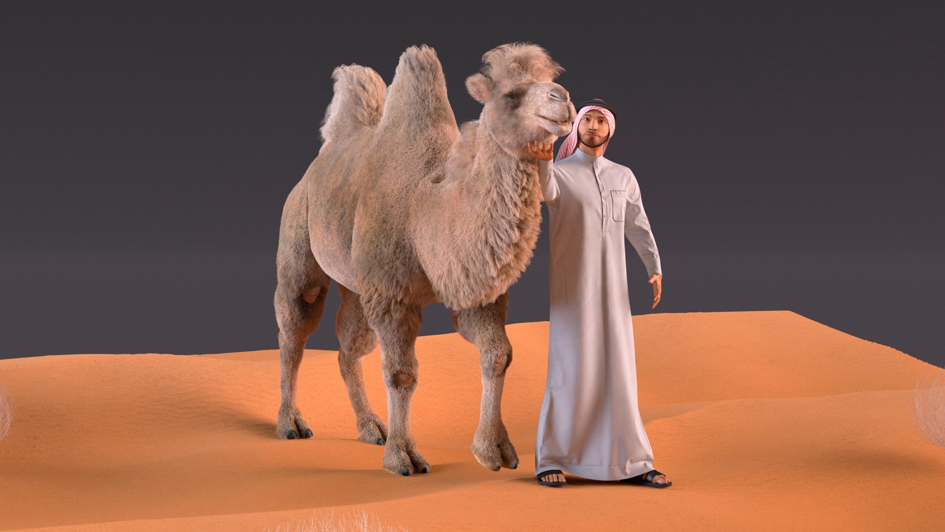 3D Arab Man with Camel on Desert Fur https://p.turbosquid.com/ts-thumb/Aj/DCphGF/Yt/arabmanwithcamelondesertfur3dmodel008/jpg/1724756582/1920x1080/fit_q87/56a1e1dcbbc7f09e7de493de807d01afb393cf96/arabmanwithcamelondesertfur3dmodel008.jpg