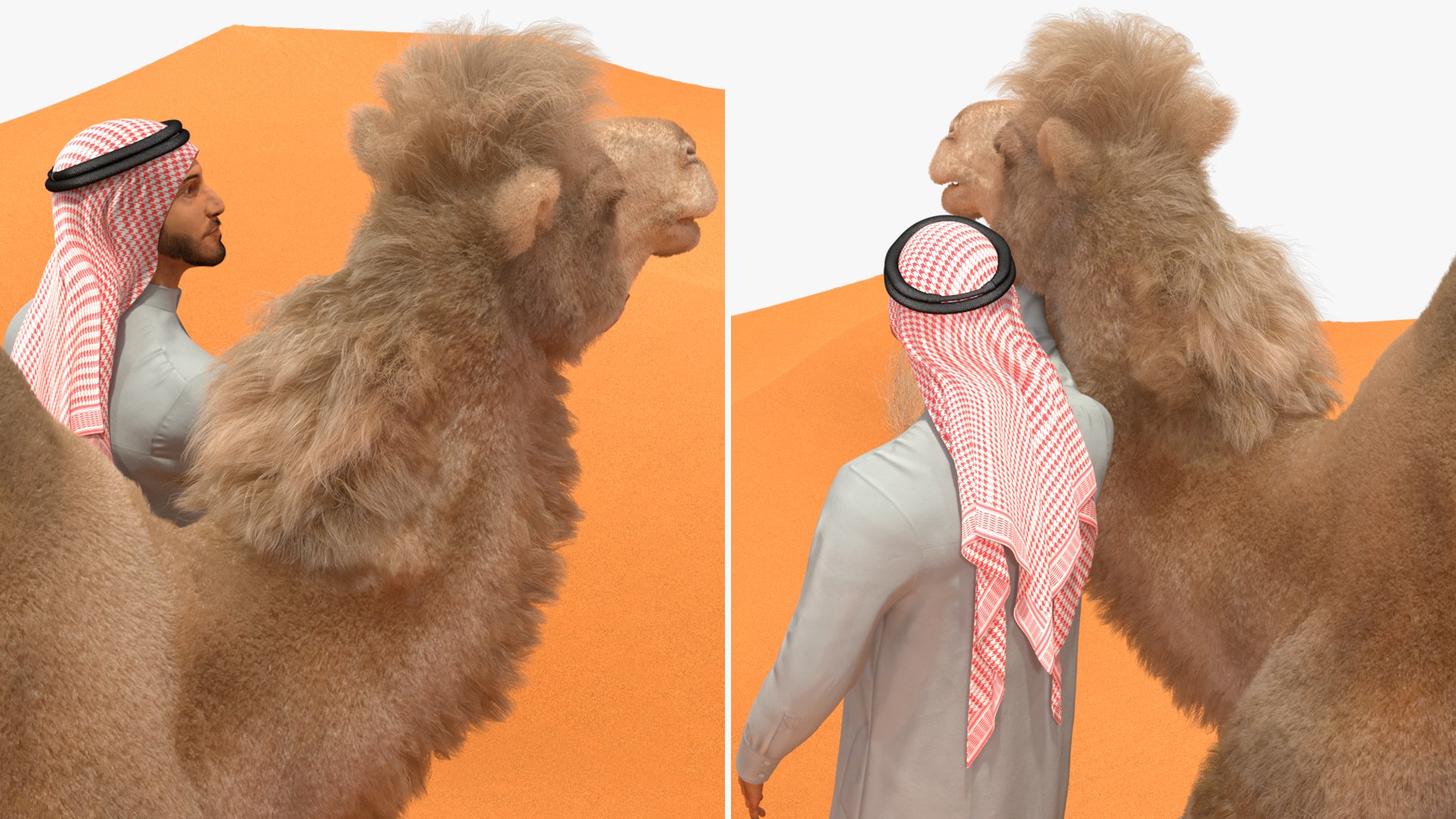 3D Arab Man with Camel on Desert Fur https://p.turbosquid.com/ts-thumb/Aj/DCphGF/bY/arabmanwithcamelondesertfur3dmodel019/jpg/1724756625/1920x1080/fit_q87/8ca6159ef5736b95f221dcb66e94d204576d6308/arabmanwithcamelondesertfur3dmodel019.jpg