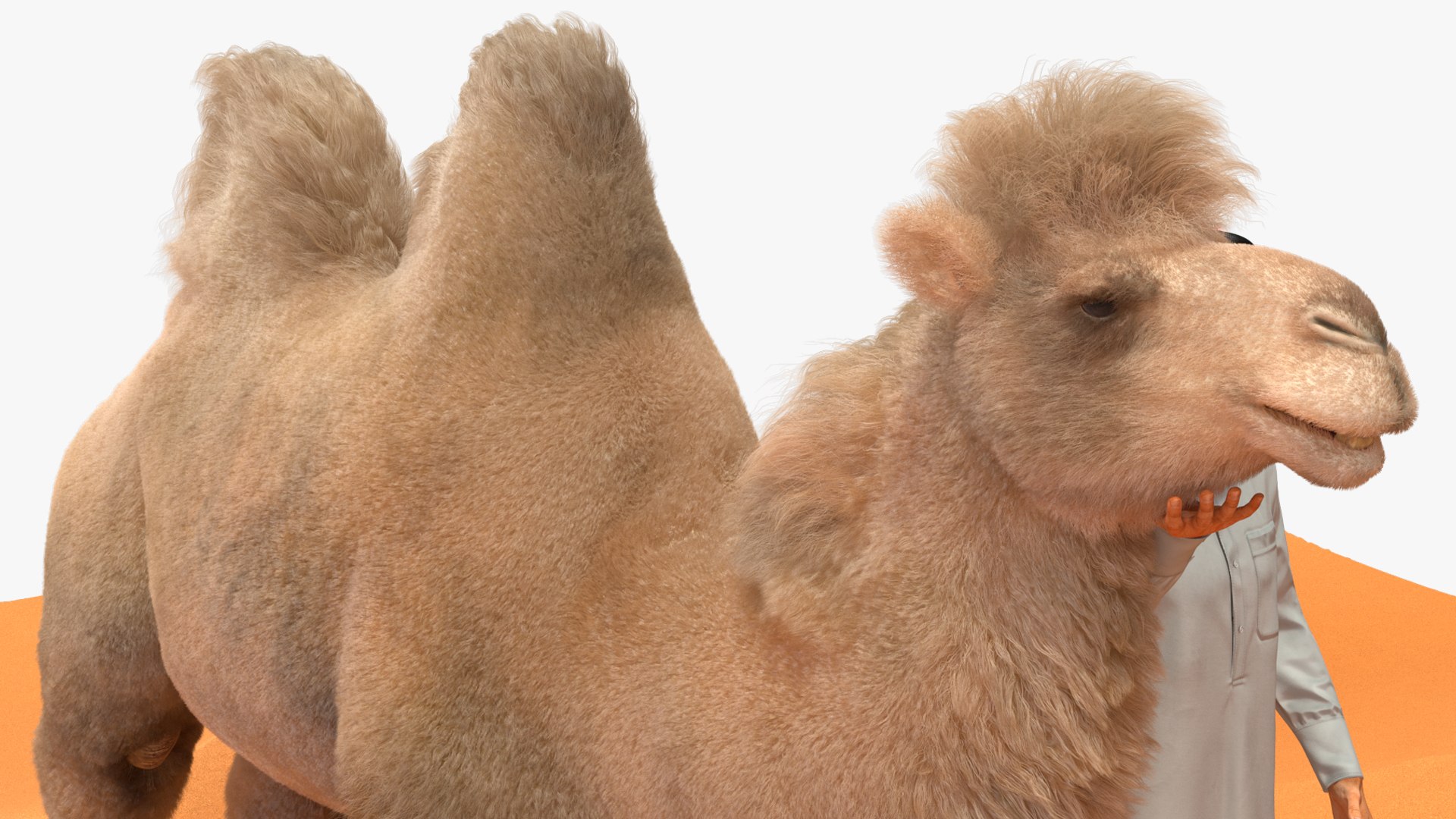3D Arab Man with Camel on Desert Fur https://p.turbosquid.com/ts-thumb/Aj/DCphGF/d4/arabmanwithcamelondesertfur3dmodel016/jpg/1724756613/1920x1080/fit_q87/058ad8fea5ac6ea1e1026ba701e0d2ea5c1c3b67/arabmanwithcamelondesertfur3dmodel016.jpg