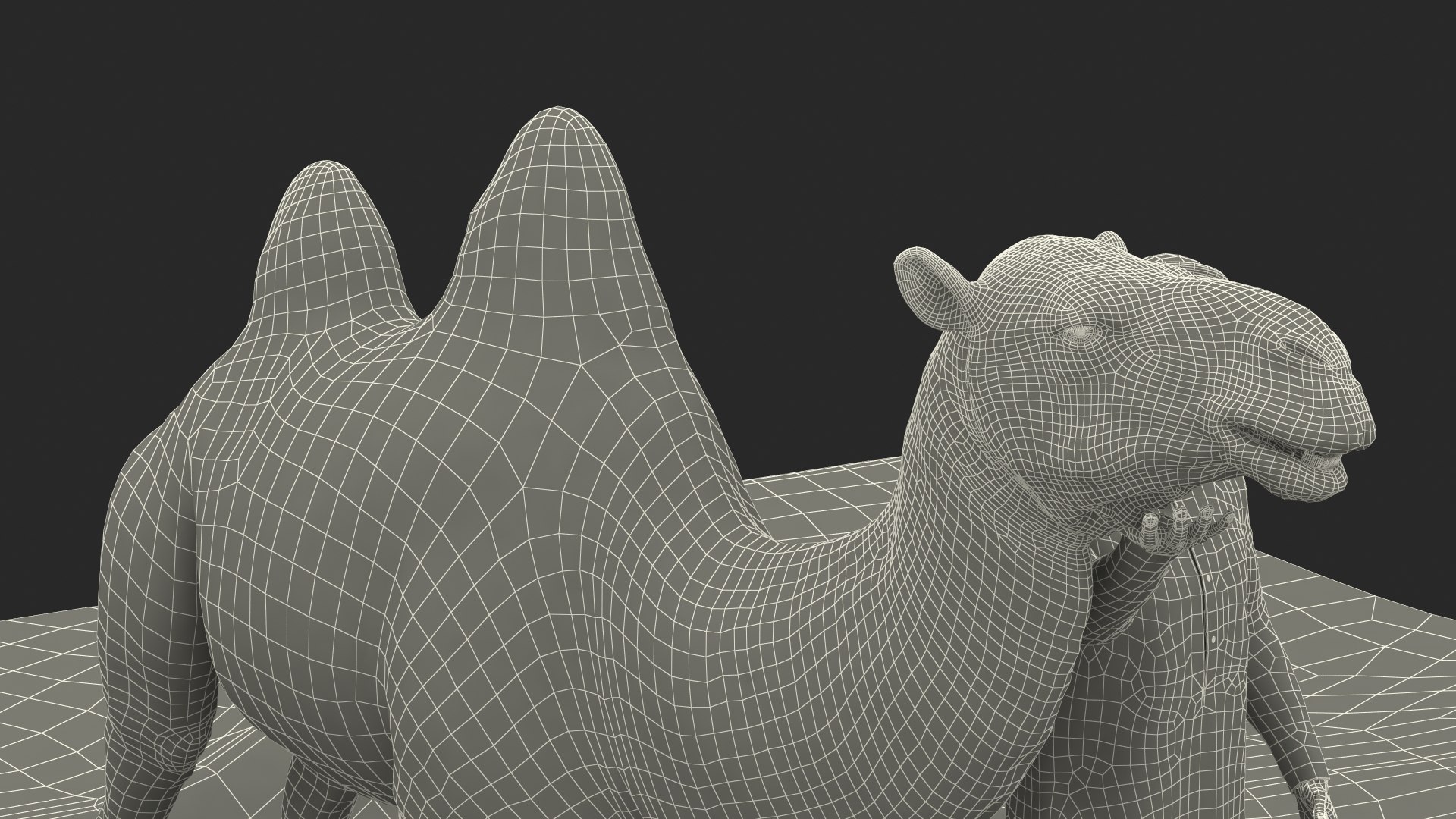 3D Arab Man with Camel on Desert Fur https://p.turbosquid.com/ts-thumb/Aj/DCphGF/hJ/arabmanwithcamelondesertfur3dmodel038/jpg/1724756699/1920x1080/fit_q87/ad973196ba5737d7eb08133e9d207592289dffe8/arabmanwithcamelondesertfur3dmodel038.jpg